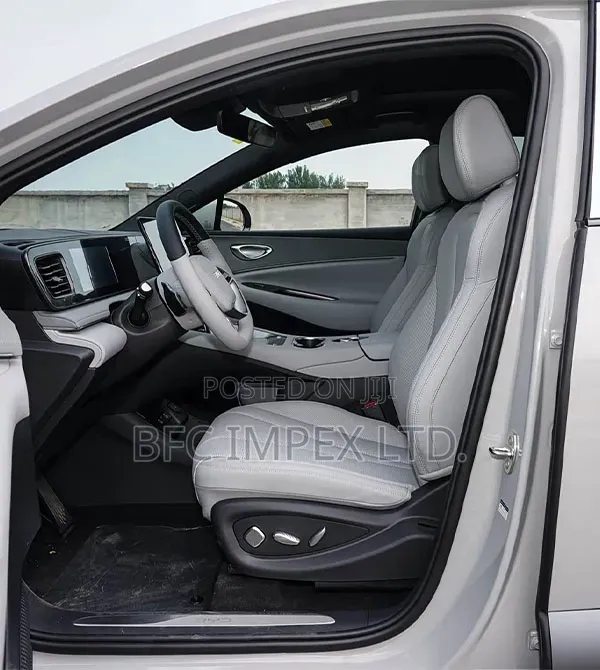 New Car 2025 Gray