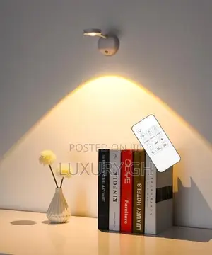 Magnetic Light