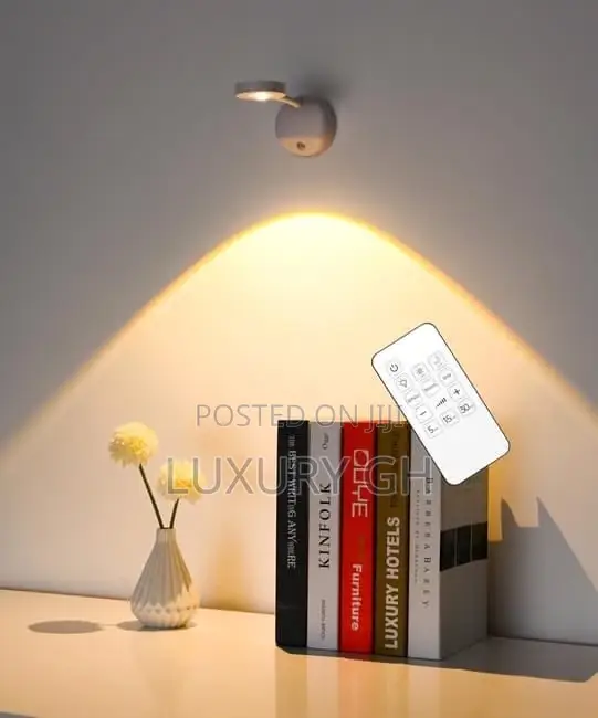 Magnetic Light