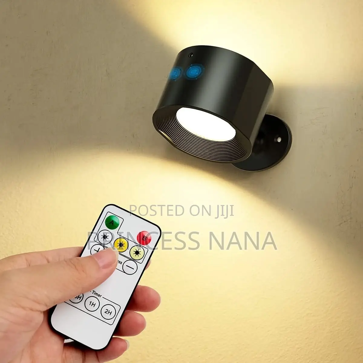 Magnetic Light