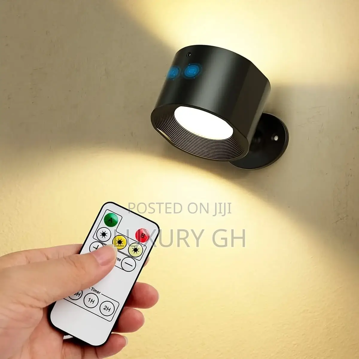 Magnetic Light