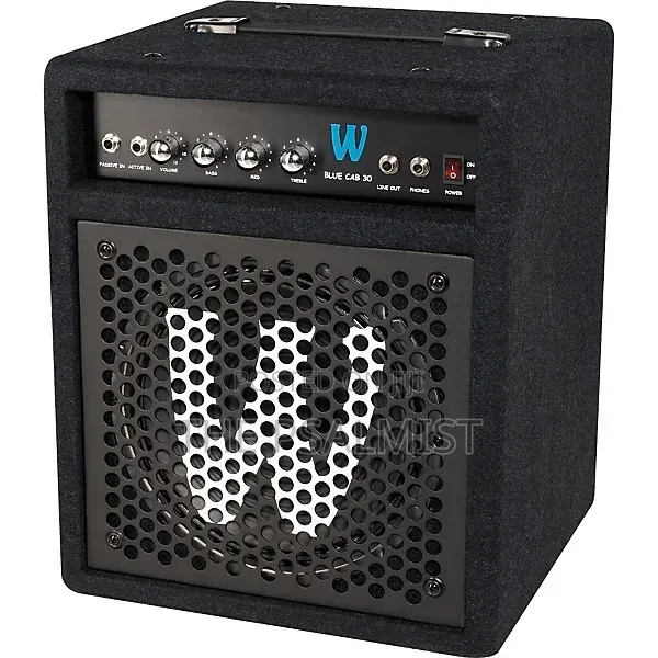Warwick Blue Cab 30 Bass Guitar Combo