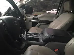 Ford F-150 2016 Gray