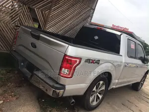 Ford F-150 2016 Gray