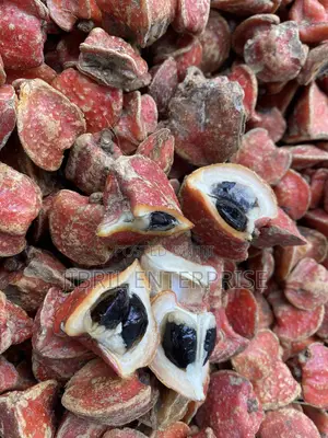 Thaumatococcus Daniellii Seeds for Planting, Already Sprouted,15/100gh
