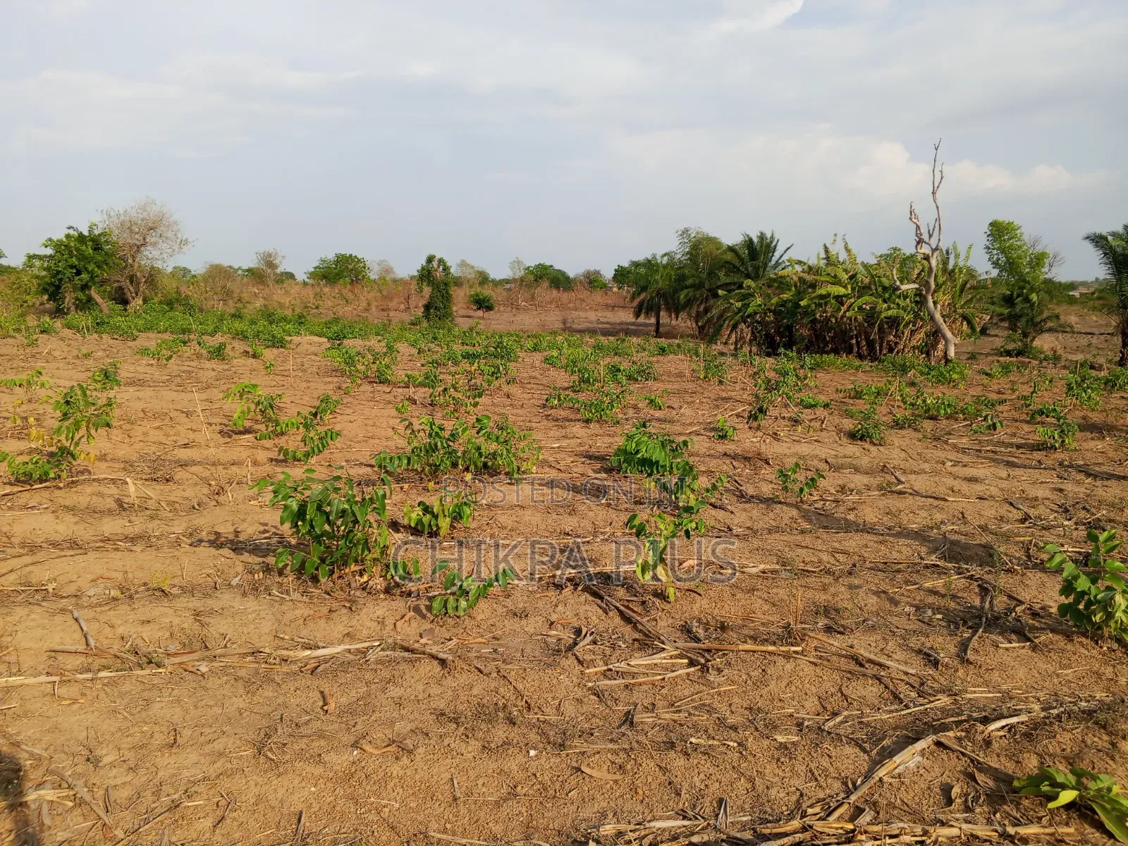 Land for Sale