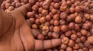 Christ Thorn Jujube Fruit, 200g/30gh, 100% Organic and Natural
