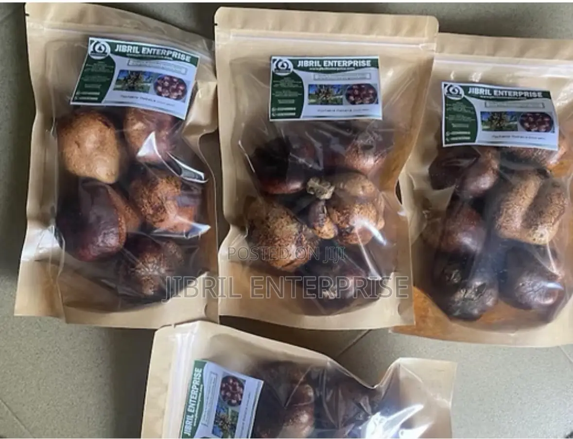 Doum Palm Fruit Both Edible and Planting, 5 Fruits/50gh