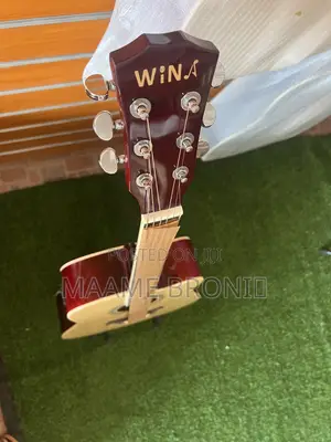 Semi Acoustic + Freebies