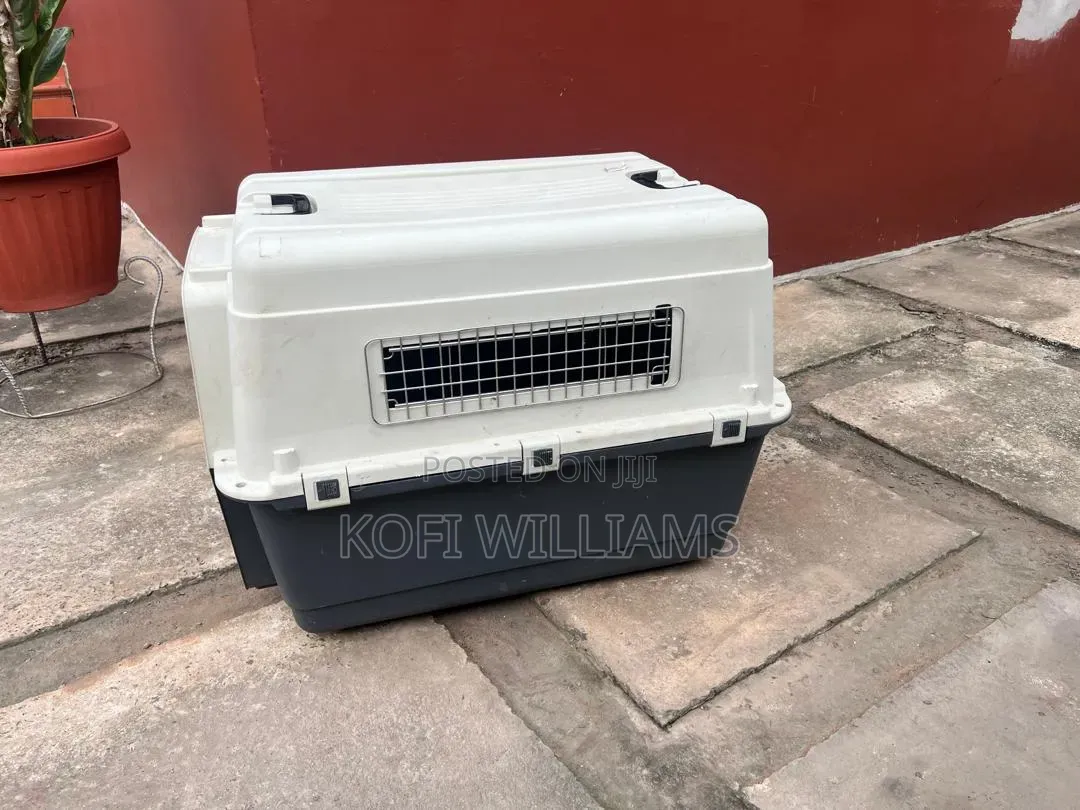 Import X Export Dog Crate