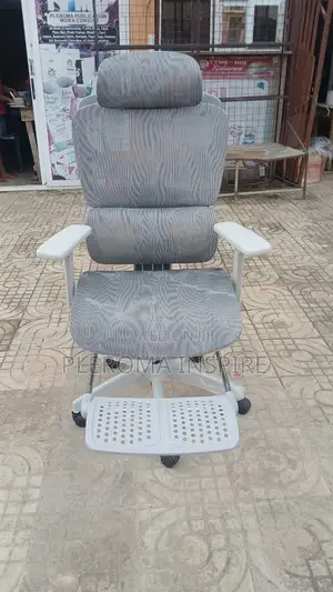 Spinal Cord Support Chair Office Chair