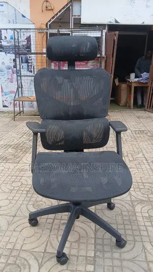 Spinal Cord Support Chair Office Chair
