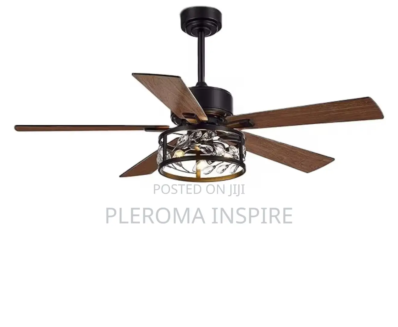 Luxury Fan With Light