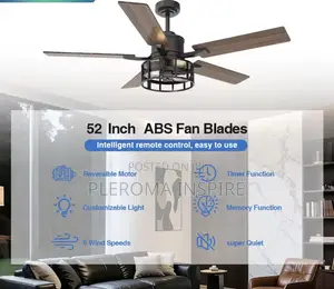 Luxury Fan With Light