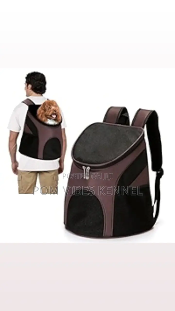 I Have Nice Pet Bags Available