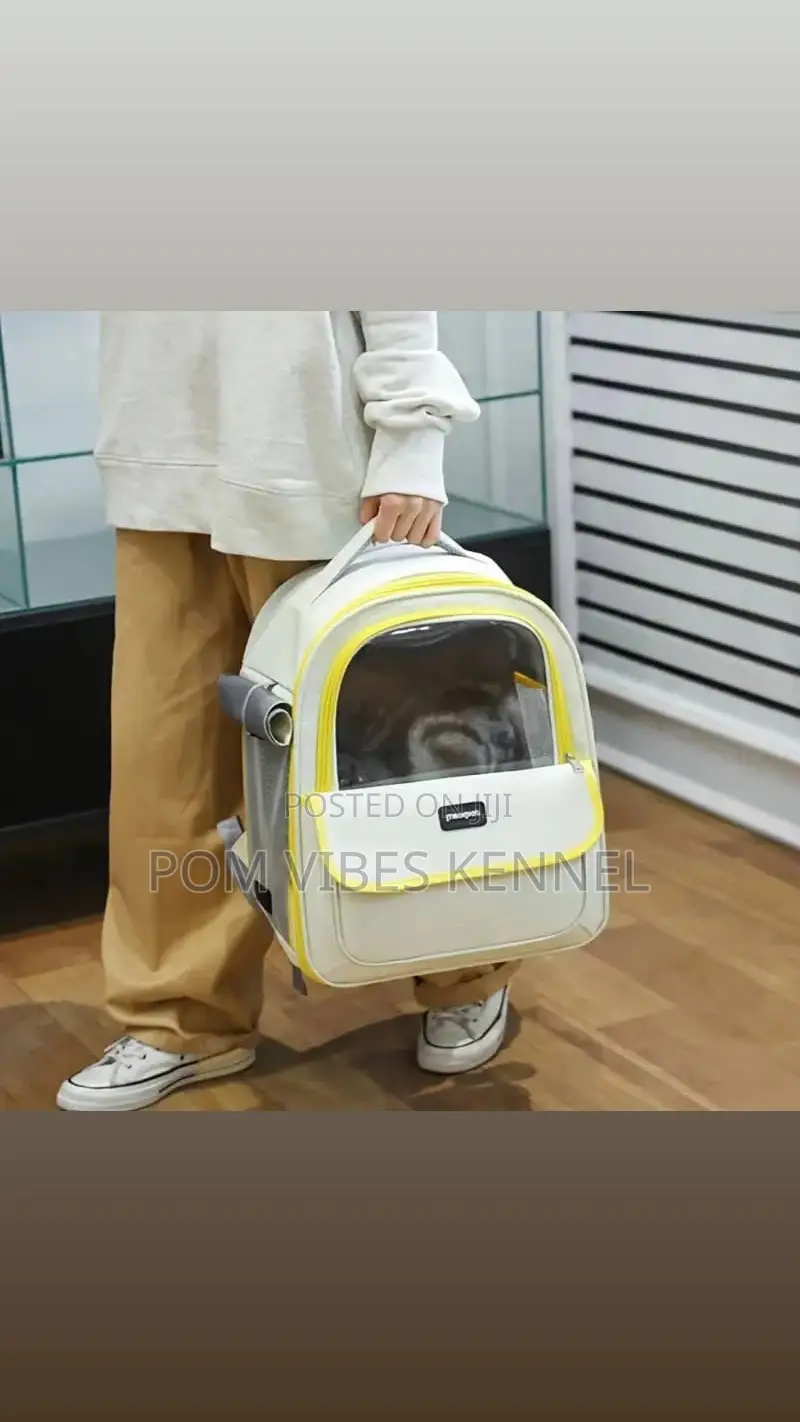 I Have Nice Pet Bags Available