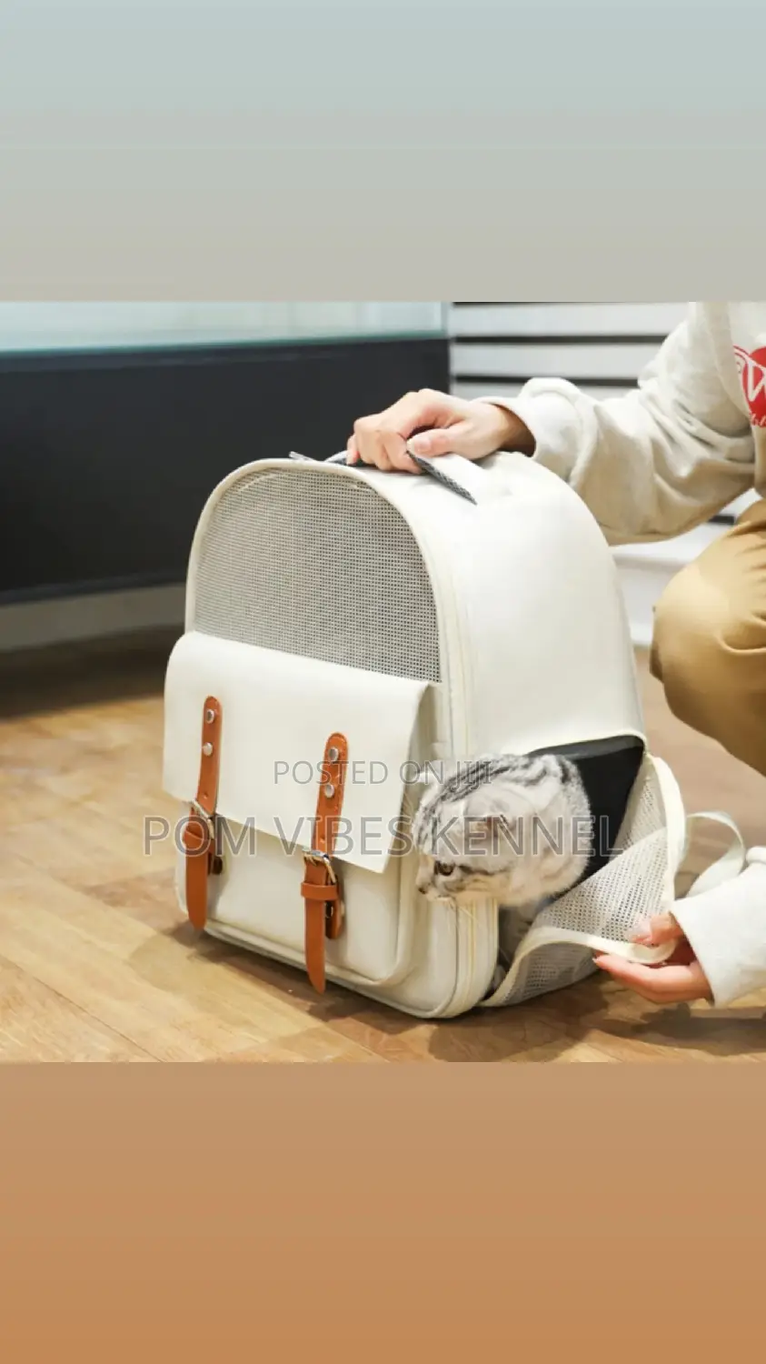 I Have Nice Pet Bags Available