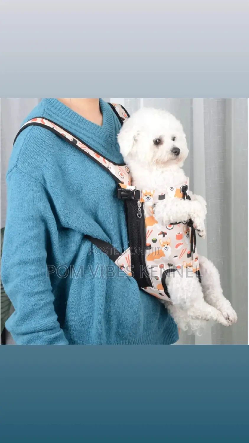 I Have Nice Pet Bags Available
