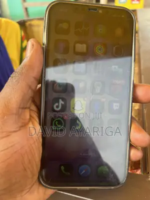 Apple iPhone 12 Pro Max 256 GB Gold