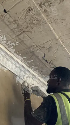 Premium Property Transformation and Finishing Services