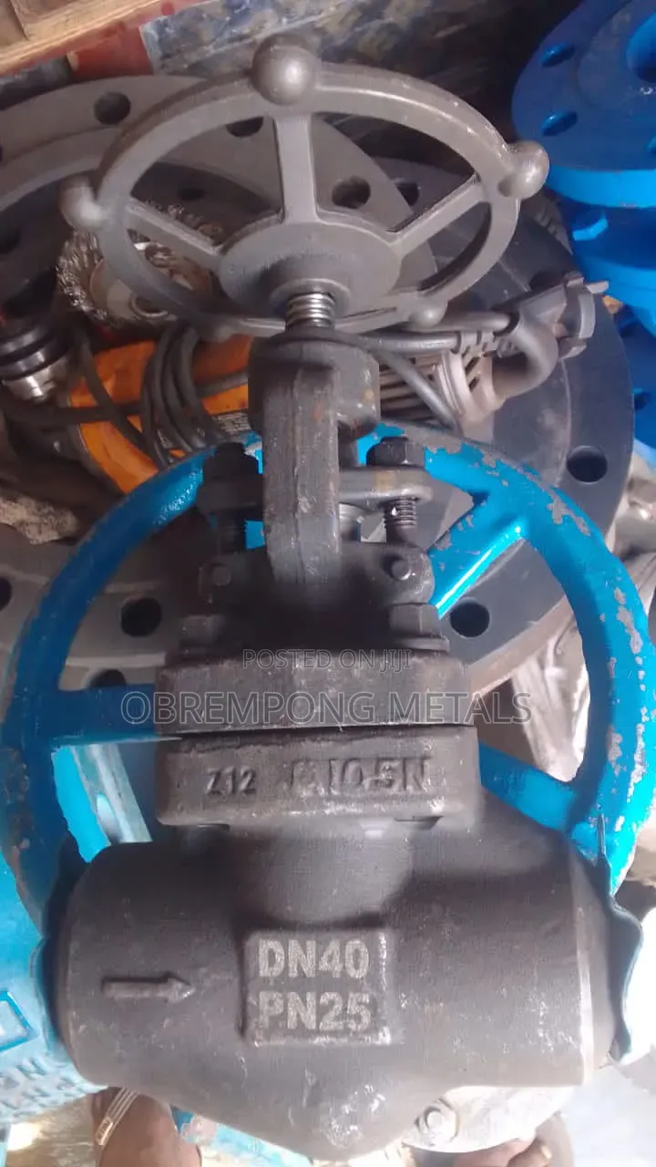 11/2" Globe Valve Pn25