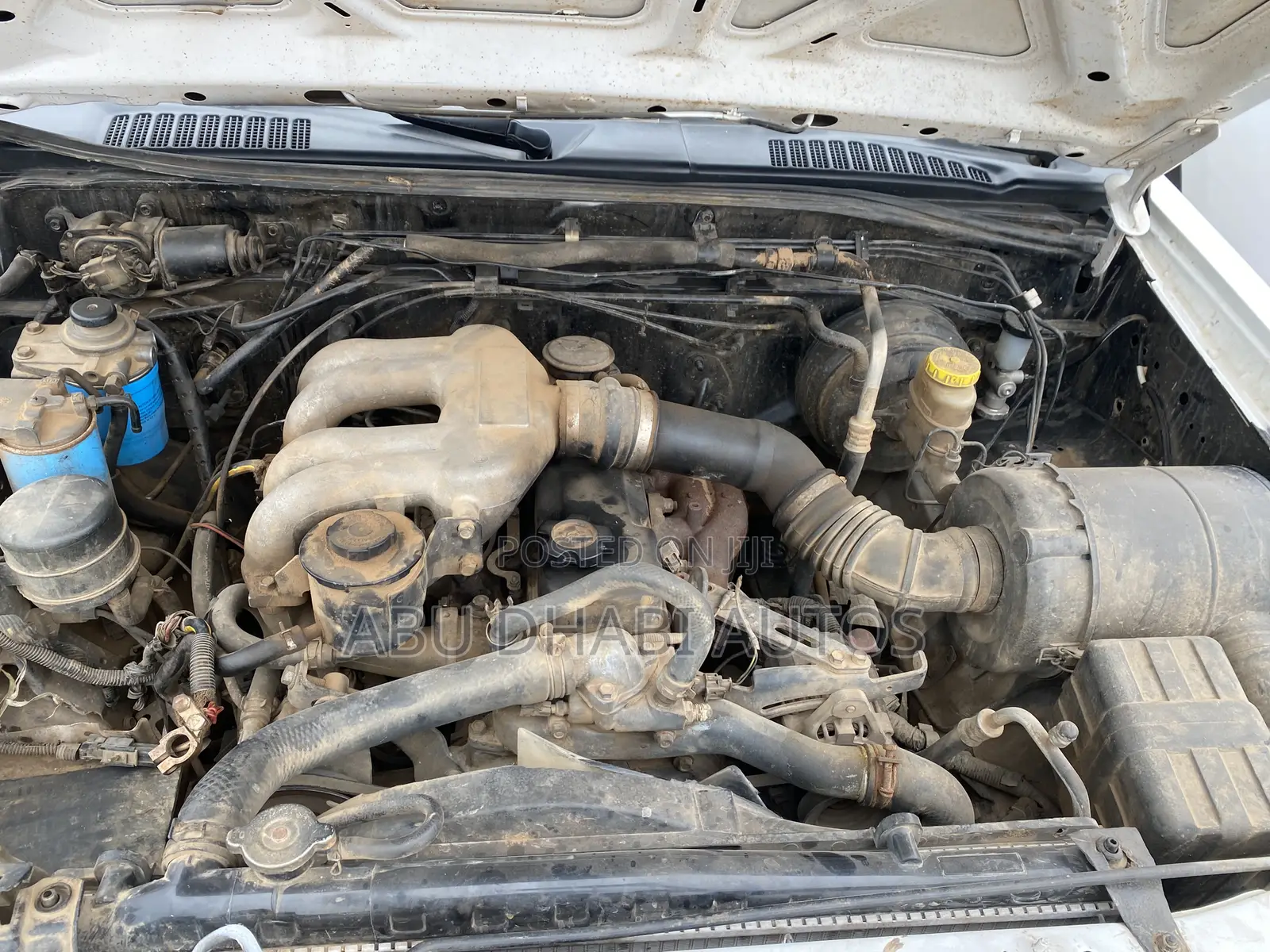Nissan Hardbody 2009 White