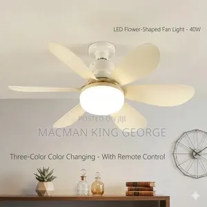 Ceiling Fan Light