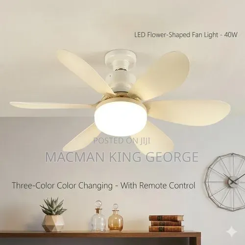 Ceiling Fan Light