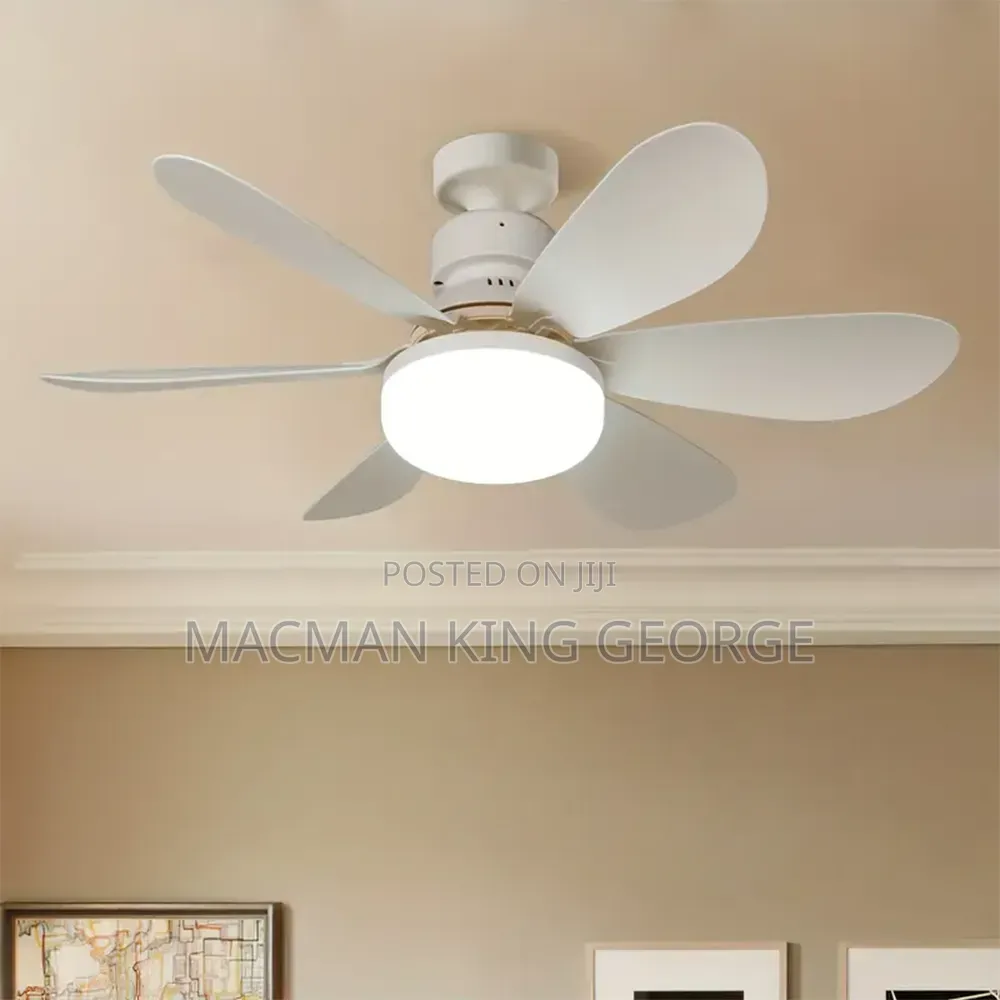 Ceiling Fan Light