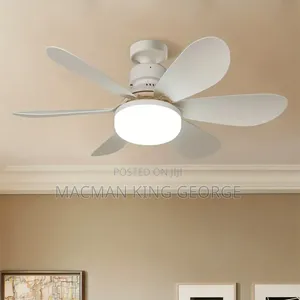 Ceiling Fan Light