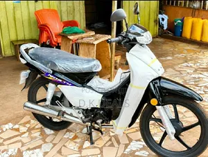 Luojia 110cc 2024