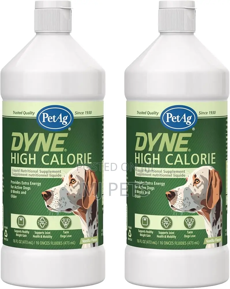 Dyne High Calorie 16oz