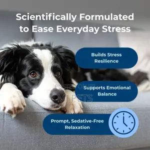 DYNE Calming Soft Chews