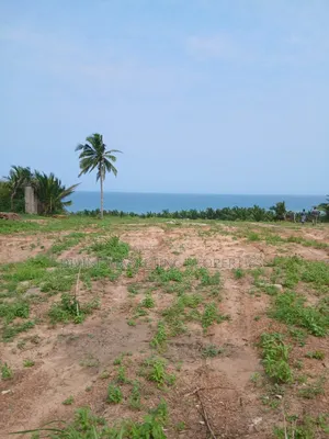 Beach Front 20 Plots at Gomoa Fetteh Nyanyano