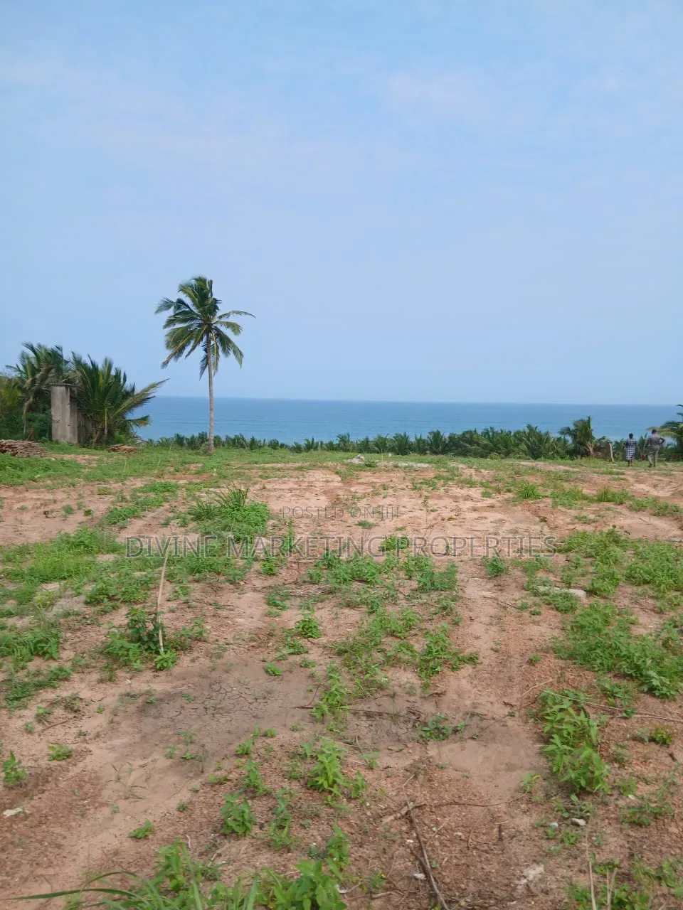 Beach Front 20 Plots at Gomoa Fetteh Nyanyano