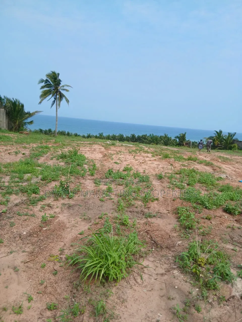Beach Front 20 Plots at Gomoa Fetteh Nyanyano