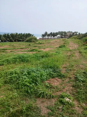 Beach Front 20 Plots at Gomoa Fetteh Nyanyano