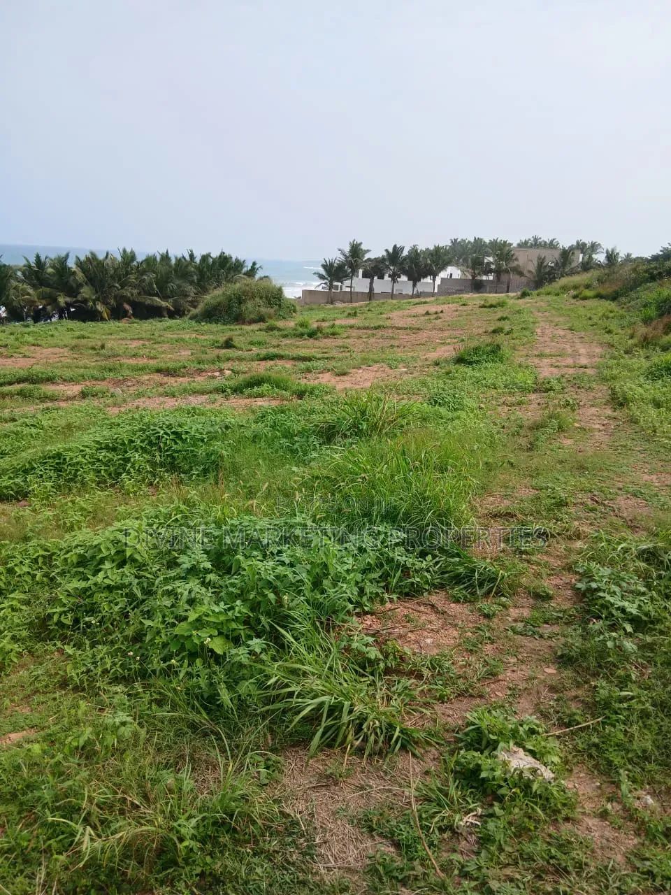 Beach Front 20 Plots at Gomoa Fetteh Nyanyano