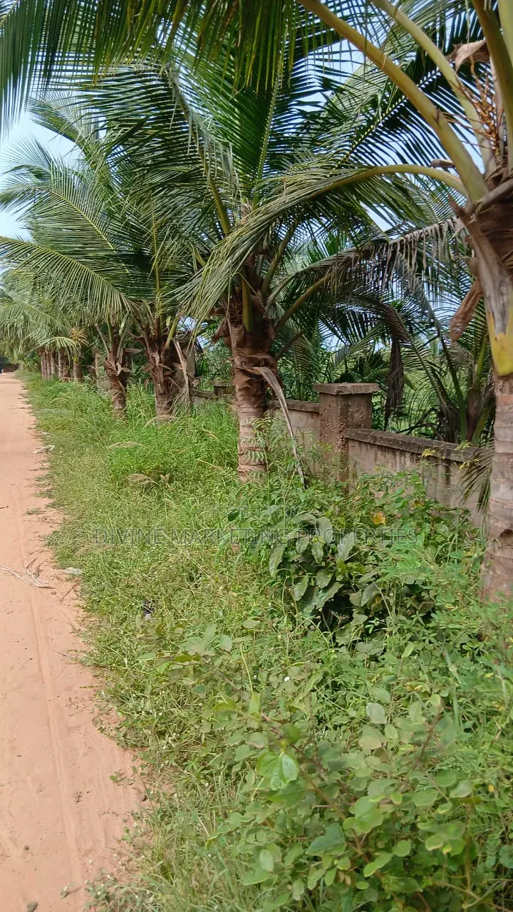 Beach Front 20 Plots at Gomoa Fetteh Nyanyano