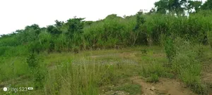 Half Plot at Atia of Ejisu Boankra for Sale