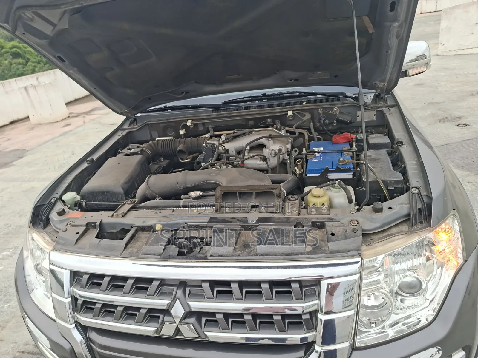 Mitsubishi Pajero 2019 Gray