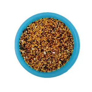 Comprehensive Parrot Food Seeds