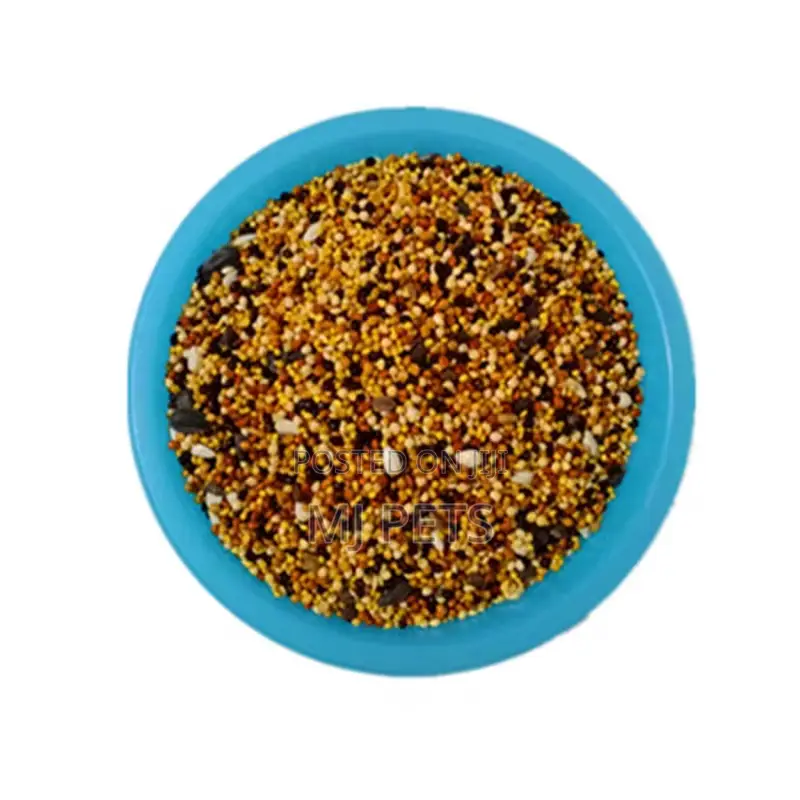 Comprehensive Parrot Food Seeds