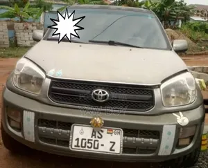 Toyota RAV4 2009 Gray