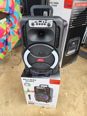 Portable 8 Inch Bluetooth Speaker With 1 Wireless Microphone
