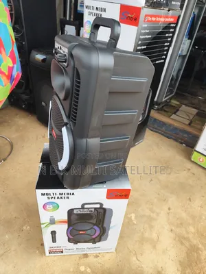Portable 8 Inch Bluetooth Speaker With 1 Wireless Microphone