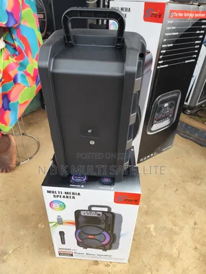 Portable 8 Inch Bluetooth Speaker With 1 Wireless Microphone