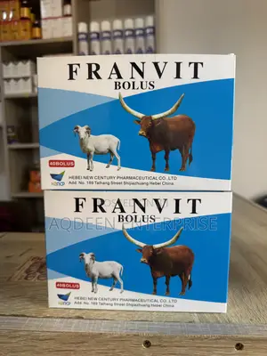 Franvit Multivitamins Bolus