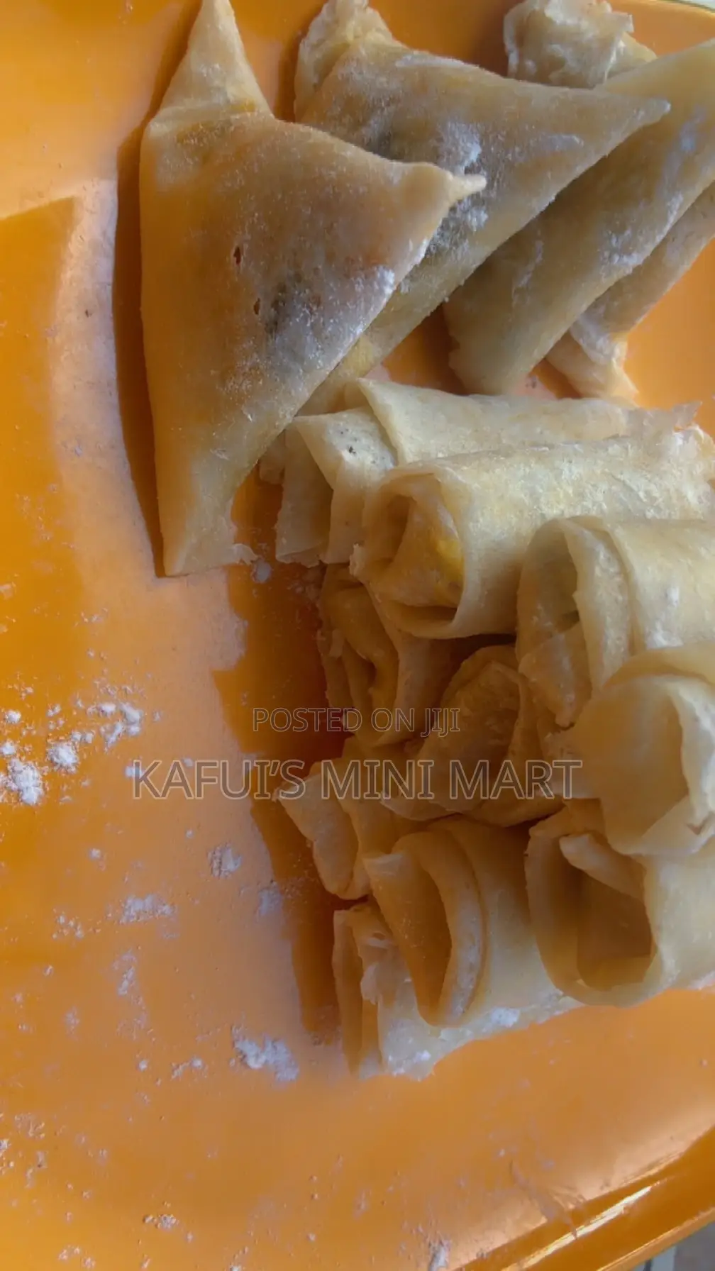 Frozen Spring Rolls