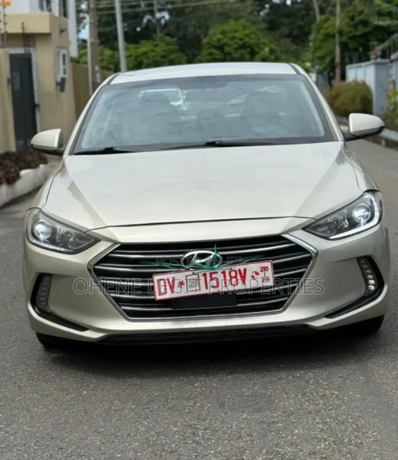 Hyundai Elantra 2017 Gray